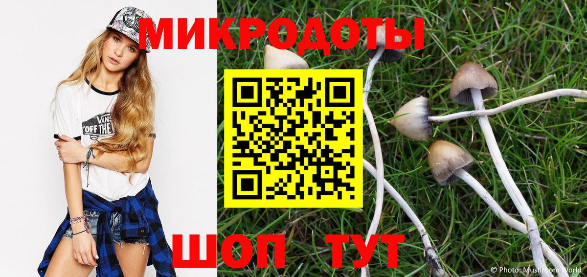Галлюциногенные грибы ЛСД Новокуйбышевск